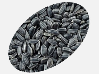 Black sunflower seeds Gourmet